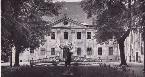 Schloß triebusch trzebosz - schloß,