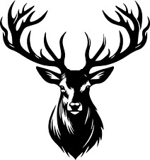 19 cm x 20 cm Hirsch Geweih