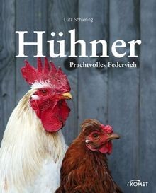 Hühner prachtvolles - hühner:,