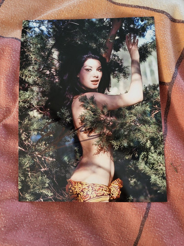 Signed edwige fenech - signed,