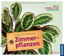 Zimmerpflanzen: Kosmos