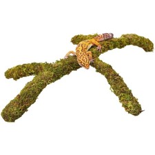 Terrarium Zubehör für