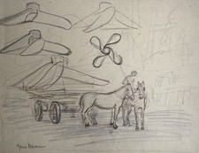 Pferde Pferdewagen Person