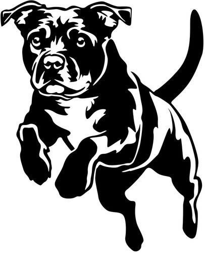 Staffordshire bullterrier - staffordshire,