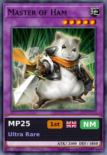 Master ham mp25 161 - ham, 1st