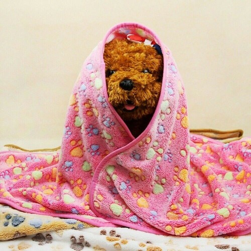 Warm haustier decke hund - warm, katze