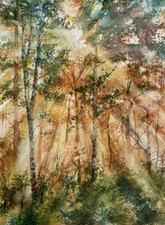 Aquarellbild Original 40x30 cm, Landschaft, das Licht 