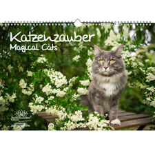 Katzenzauber Immerwährender