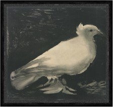 Die Taube Pablo Picasso 1949 Lithographie Weiß schwarz Faks_Werbung 1368