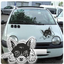 Autoaufkleber Chihuahua Hund Pfoten Sticker Motorhauben Auto Aufkleber A4044 