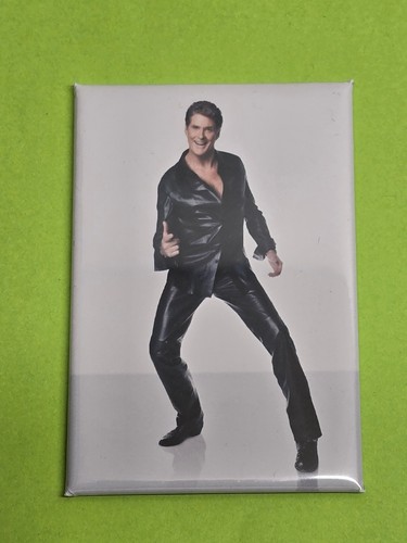 David hasselhoff magnet - david,