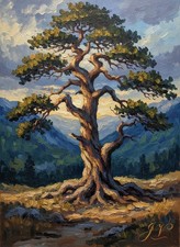 ORIGINAL JEAN VOS Ancient Pine