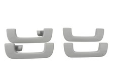 Haltegriffe Dachhimmel vorne