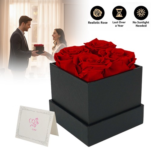 Rosenbox ewige rose infinity - rosenbox,