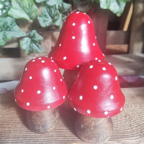 Fliegenpilze pilze holz - 3,