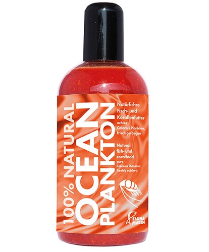Fauna marin ocean plankton - fauna,
