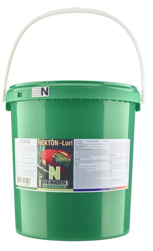 NEKTON-Lori