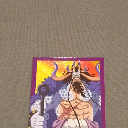 Panini one piece - one,