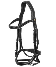 Anatomisches Kopfstück Modell