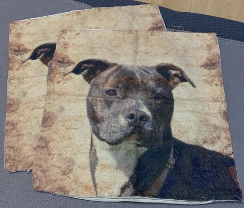 Pitbull kissenbezug - pitbull,