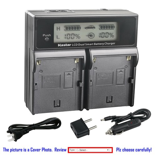 Kastar lcd dual fast charger - dual,