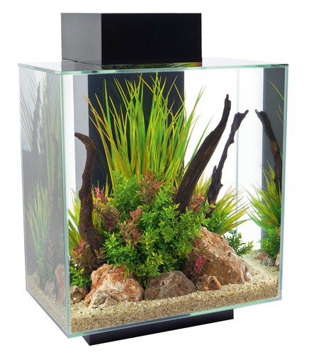 Fluval edge schwarz - edge, 2.0