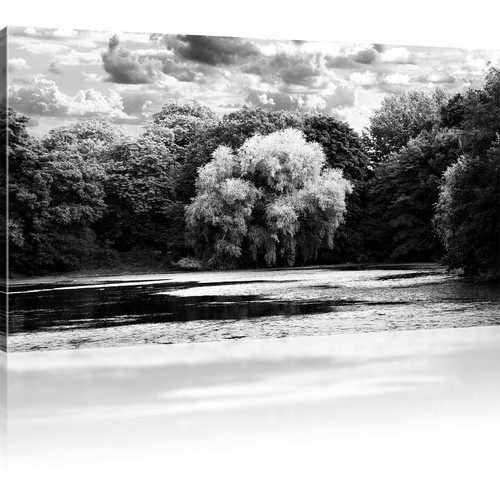 Bilder park herbst wandbild - park,