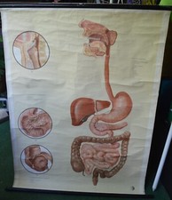 Schulwandkarte Rollkarte