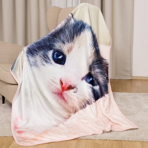 Katze kätzchen decke plaid - kätzchen,