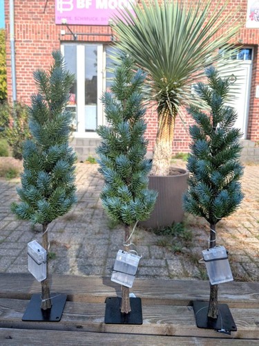 Led weihnachtsbaum tannenbaum - led,
