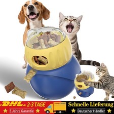 Intelligenzspielzeug für