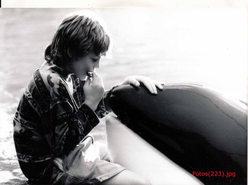 Free willy ruf der freiheit - free,