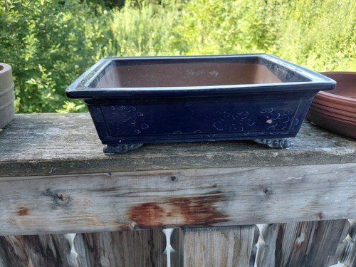 Japanischer blauer bonsai topf - blauer,