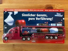 Modell LKW 1:87 - Müller
