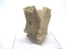 BERYLL X  STEINBRUCH BEI BRATTEKLEIV   ARENDAL  AGDER   INSEL TROMOY   NORWEGEN