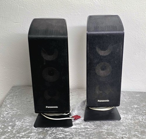 Panasonic hf100 - 2x, sb-hf100