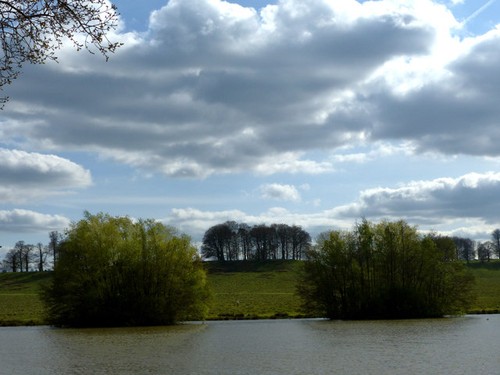 Foto 6x4 petworth park - foto,