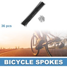 Fahrrad Speichen 14G 245MM
