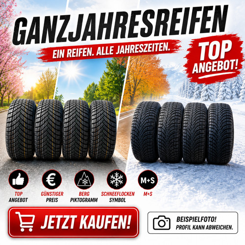 205 r16 91v preiswerte - 205, 55