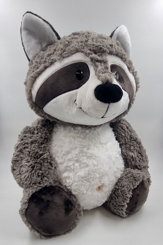 Nici waschbär rob raccoon - raccoon, ca