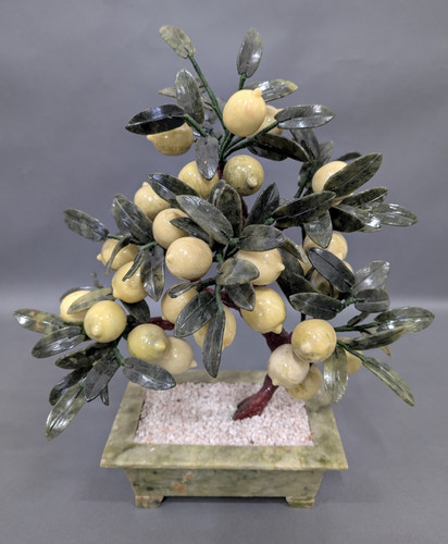 Großer bonsai baum - großer, bonsai-baum
