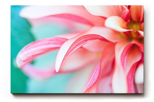 Sinus art wandbild - art,