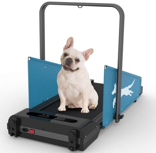 Dog treadmill for small - dog,