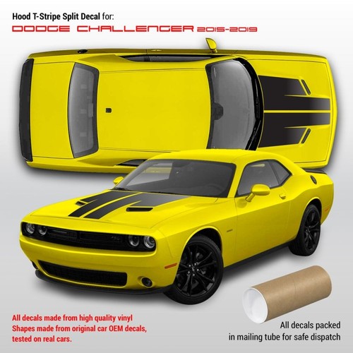 Dodge challenger 2009 - 2009,