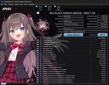 Western Digital WD_BLACK WD SN850X 4TB NVMe Interne SSD (WDS400T2X0E) 4000 GB