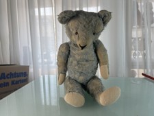 Alter Sammler Teddy Bär