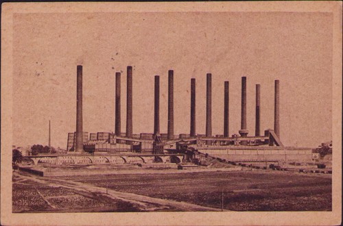 191879 zschornewitz golpa - 191879,