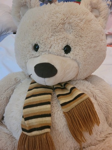 Teddybär bär mit schal - ,