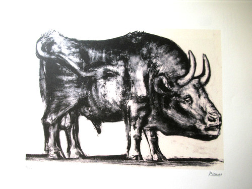 Pablo picasso schöne - pablo,