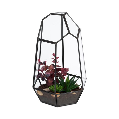 Pflanzenterrarium indoor - pflanzenterrarium,